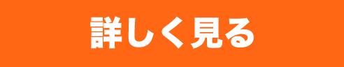 詳しく見る